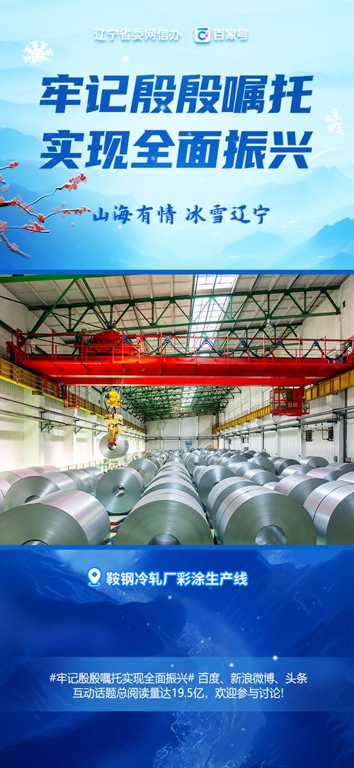 鞍钢冷轧彩涂板生产线的网络技术服务体系建设与探索